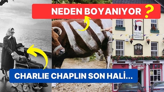 Tarihten Günümüze Hayatı Sorgulamanıza Sebep Olmaya Aday Birbirinden İlginç 17 Görsel