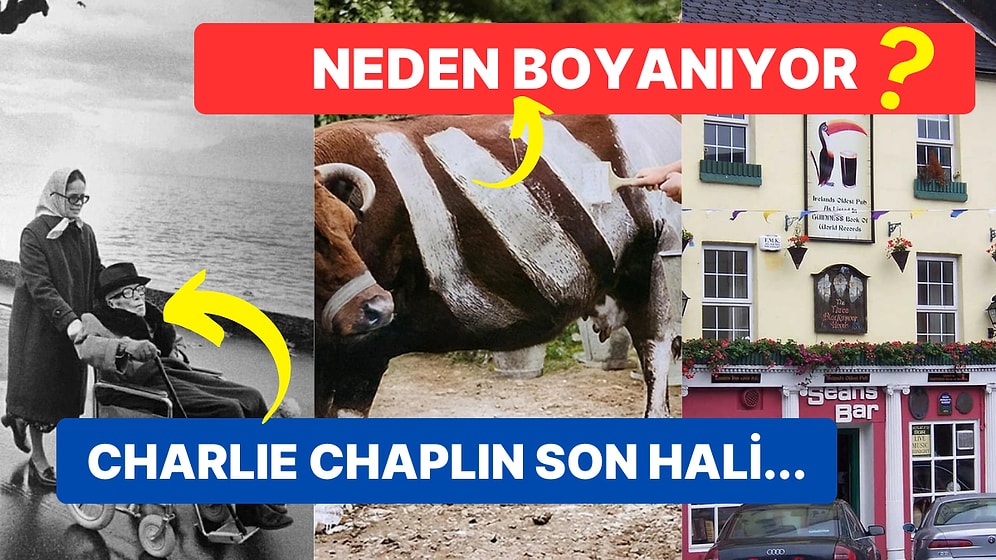 Tarihten Günümüze Hayatı Sorgulamanıza Sebep Olmaya Aday Birbirinden İlginç 17 Görsel