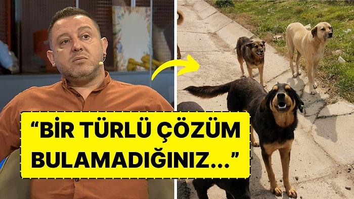 Nihat Kahveci'nin Köpeği Sokak Köpekleri Tarafından Parçalandı: "Bir Çözüm Bulamadığınız..."