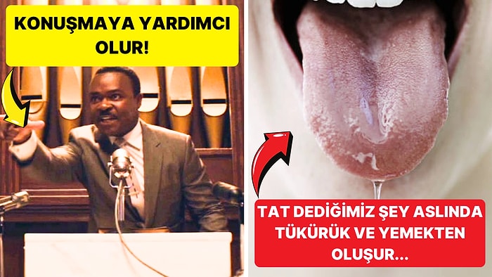 Ağımızın Durmadan Ürettiği Salyanın Görevi Nedir ve Yemekleri Daha İyi Tatmamıza Nasıl Yardımcı Olur?