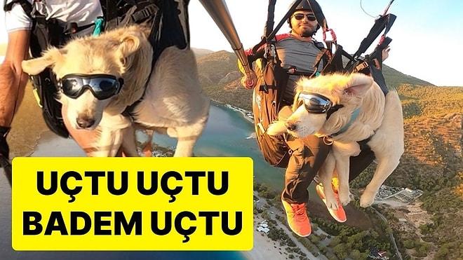 Köpeği Badem ile Birlikte 1700 Metre Yükseklikteki Babadağ’dan Atladı