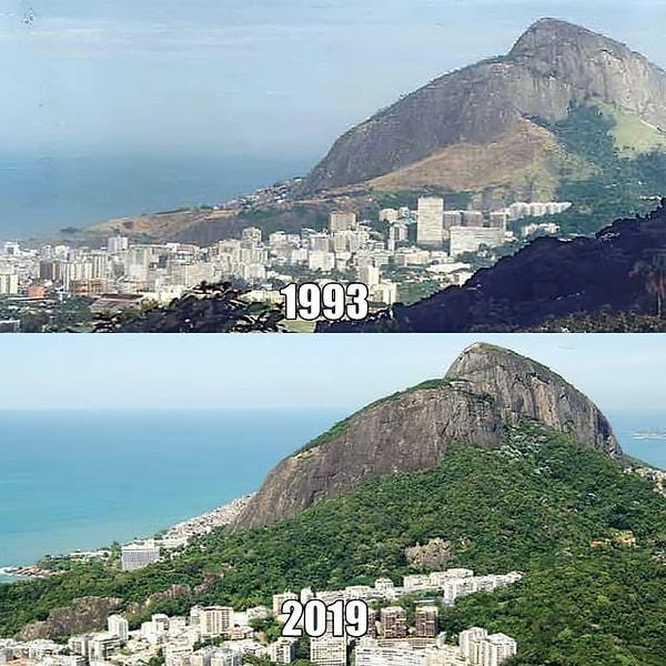14. Rio de Janeiro'nun yeniden ağaçlandırılması.