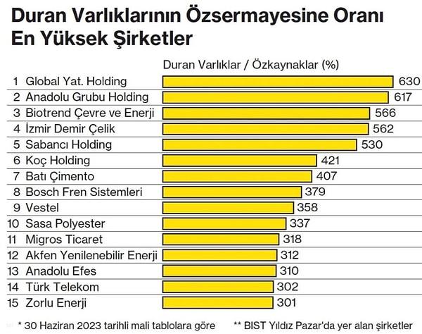 Borsa İstanbul'da Yıldız Pazar'da yer alan şirketlere bakıldığında da duran varlıklarının öz kaynaklarına oranı en yüksek şirket Global Yatırım Holding olarak görülüyor.