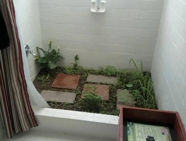 16. Bitkilerinizi duş zemininizde yetiştirirseniz asla sulamayı unutma gibi bir probleminiz olmaz!
