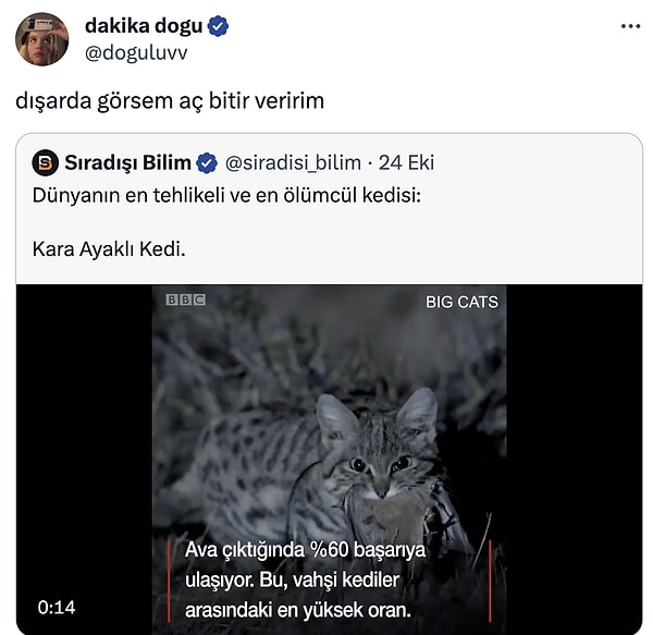 Bunun neresi tehlikeli?