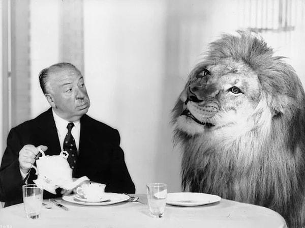 3. Film yönetmeni ve senarist Aldred Hitchcock Hollywood film stüdyosu Metro-Goldwyn-Mayer'in maskotu aslan Leo ile yemek yerken. (1958)