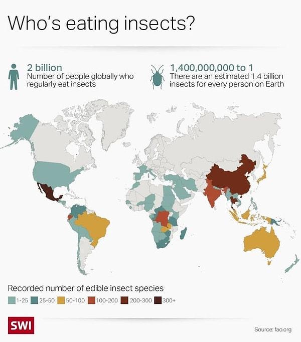 4. Böcek yiyen insanların dağılımı ve sayısı.