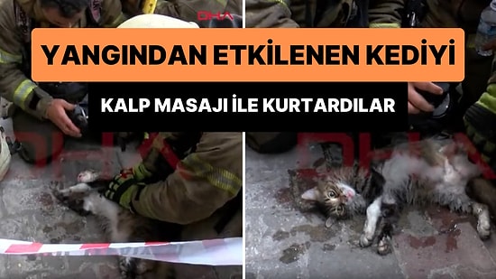 Yangından Etkilenen Kediyi Kalp Masajı ile Hayata Döndüren İtfaiye Ekipleri