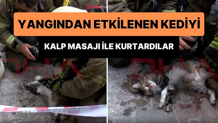 Yangından Etkilenen Kediyi Kalp Masajı ile Hayata Döndüren İtfaiye Ekipleri