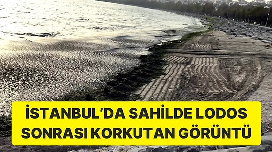 Lodos Sonrası Bu Hale Geldi: Tüm Sahil Yosunla Kaplandı