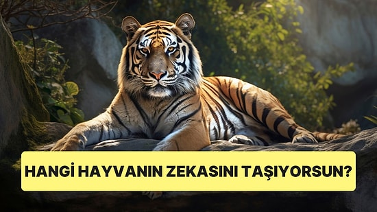 Hangi Hayvanın Zekasına Sahipsin?