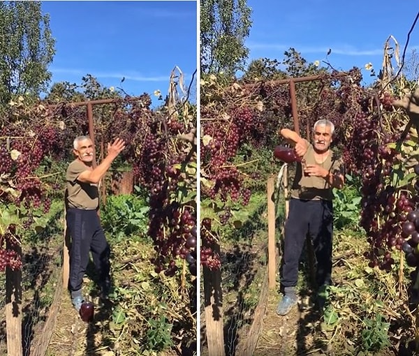 Bahçedeki üzümlerinden şarap yaptığını belirten adam, 'Bunun neresi haram? Çalmıyorum, içine bir şey katmıyorum sadece üzümün suyu bu' dedi.