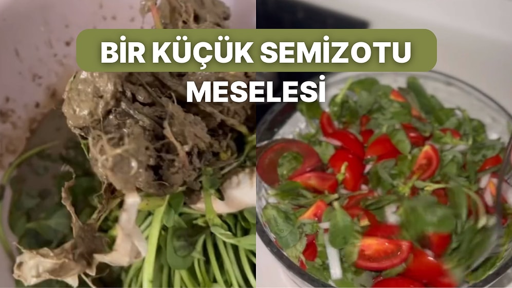 Daha Önce Semizotu Ayıklamak İçin Böylesine Büyük Bir Savaş Verildiğini Görmediniz