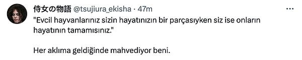 29. Hayvanlarımızın bize hep ihtiyacı olduğunu unutmayalım lütfen 🥺