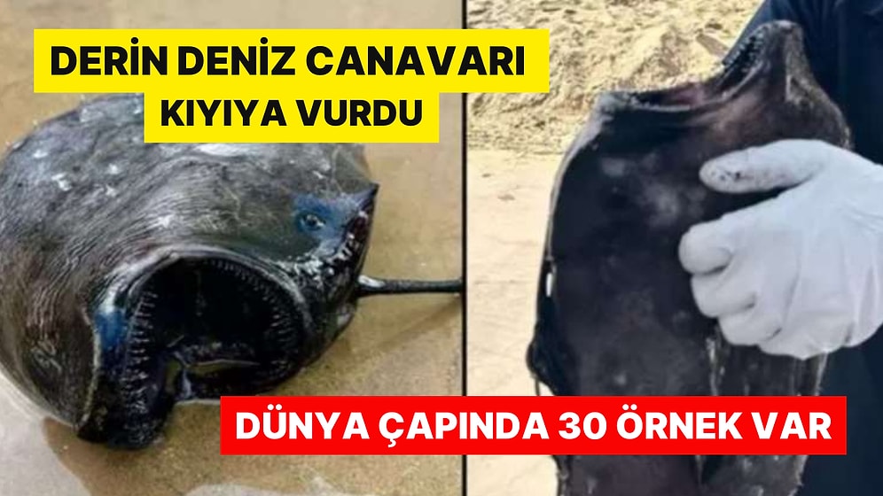 Doğa Tarihi Müzesi'ne Verildi: 'Karşı Cinsi Kölesi Yapıyor'