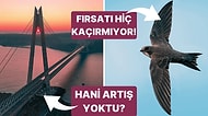 Otoyol ve Köprü Ücretlerine Zam Yapıldı mı, Gazze'ye Ebabil Kuşları mı Geldi? Son Günlerdeki 7 İddia