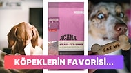 2023'ün En Çok Satan Köpek Mamaları