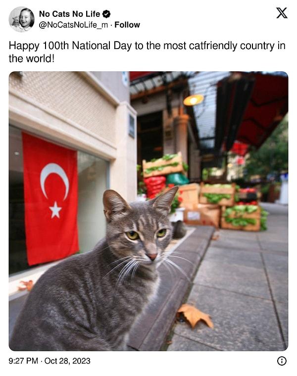 Sosyal medyada Cumhuriyet'in 100. yılı paylaşımlarını gören global bir kedi hesabı da bu duruma kayıtsız kalmamış.
