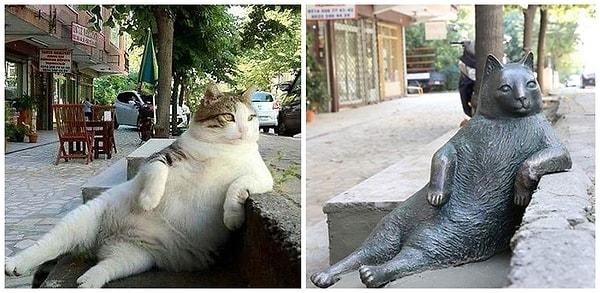 Hatta İstanbul'un ikonikleşmiş kedileri bile var. Unutmamak için anıtları dikilecek kadar ikonikleşmiş...
