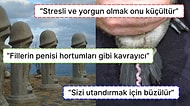 Erkek Üreme Organı Penis Hakkında Yapılan Eğlenceli Yorumları Paylaşan Kullanıcılar