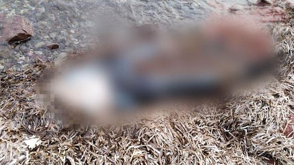 Muğla'nın Bodrum ilçesi Yalıkavak Mahallesi'nde sahilde, belden yukarısı olmayan kimliği belirsiz bir kadın cesedi bulundu.