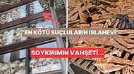 Şu Anda Ziyarete Açıklar! Sizi Geceleri Uykusuz Bırakabilecek 10 "Karanlık Turizm" Destinasyonu