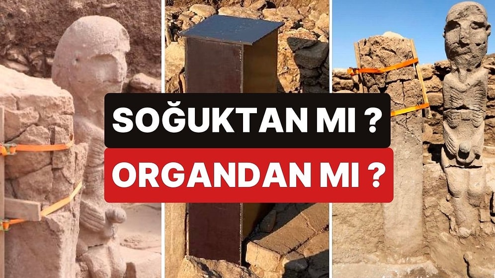 Cinsel Organı Gözüken İnsan Heykeli Ahşap Kutu İle Kaplandı