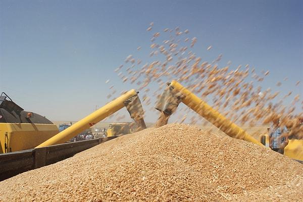 FAO Tahıl Fiyat Endeksi önceki aya göre yüzde 1,0 düştü.