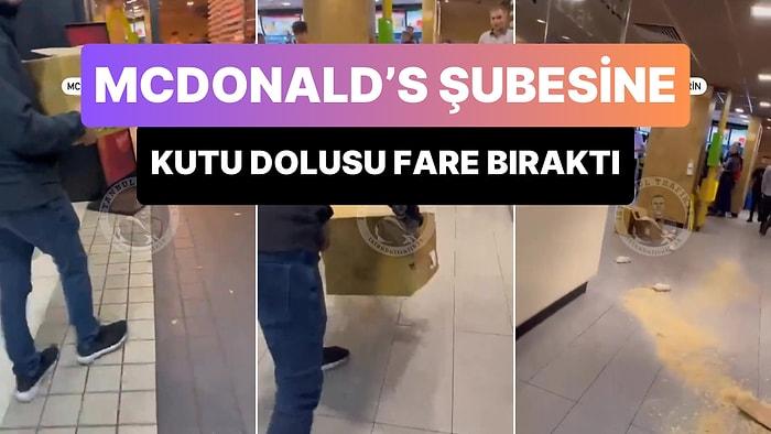 İsrail'i Protesto Etmek İsteyen Bir Vatandaş, İstanbul'da McDonald's Şubesine Kutu Dolusu Fare Bıraktı