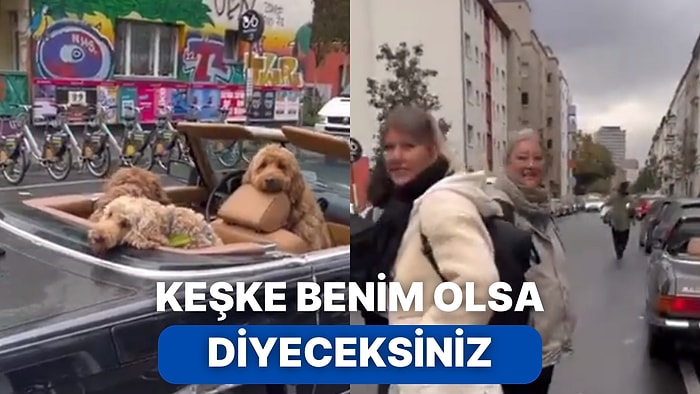 Üstü Açık Arabada Sahiplerinin Gelmesini Dört Gözle Uslu Bir Şekilde Bekleyen Köpeklere Bayılacaksınız