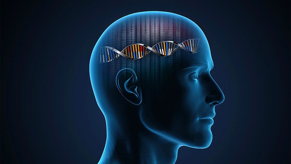 Challenge Your Mind with the Ultimate IQ Test: Can You Score 9/9?