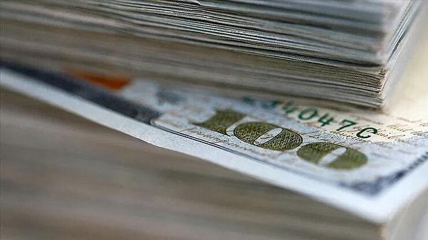 Dolar/TL, gün sonunda bankalararası piyasada 28,43 TL'den işlem görürken, Kapalıçarşı'da dolar/TL kuru 28,49 oldu.