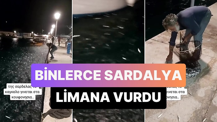 Yunanistan'da Limana Vuran Binlerce Sardalyayı İnsanlar Elleriyle Topladı