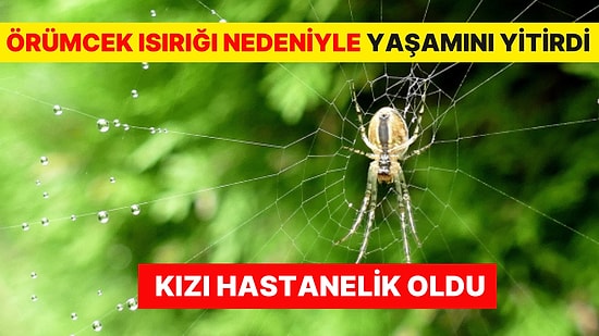Brezilyalı Şarkıcıdan Kötü Haber: Örümcek Isırığı Nedeniyle Yaşamını Yitirdi, Kızı Hastanelik Oldu