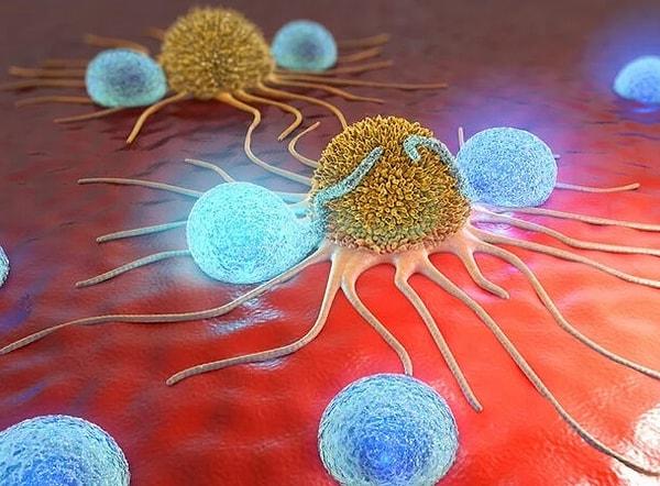 9. Kanser, hücrelerimizin kendini değiştirmeye başlamasıyla oluşur. Bazı kanserler hücre büyümesini hızlandırırken, diğerleri bunu yavaşlatır. Ancak çoğumuzun farkına varmadığı şey, vücudumuzun sürekli olarak kanserli hücreleri öldürdüğü ve bu savaşları genellikle kazandığı.