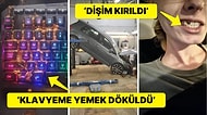 Çöle Düşse Kutup Ayılarıyla Karşılaşıp Birtakım Tatsız Olaylar Yaşayabilecek 15 Bahtsız Kişi