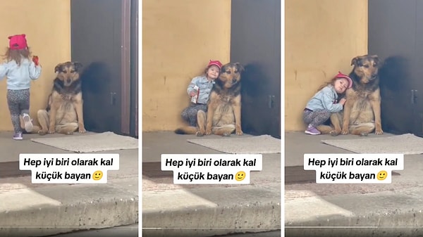 Sosyal medyada sokakta gördüğü yalnız bir köpeğin yanına gidip ona sarılan ve sevgi gösteren miniğin videosu viral oldu.