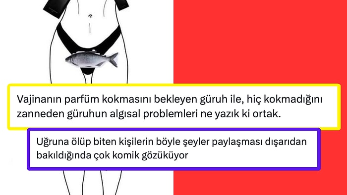 Vajinanın Balık Gibi Koktuğunu Paylaşan Hesaba Gelen Tokat Gibi Yanıtlar