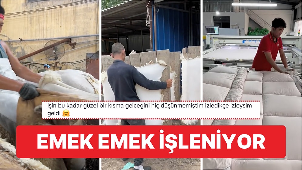 Yün Yorganların Yapımını Anlatan Bu Videoyu İzlerken Çok Şaşıracaksınız