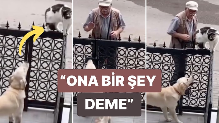 Bir Kediye Havlayan Köpeği Bir Şey Yapmaması İçin İkna Etmeye Çalışan Amca Sizi Pamuk Gibi Yapacak