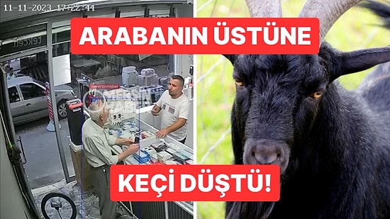 Arabanın Üstüne Keçi Düştü!