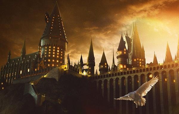 Warner Bros'un yeni televizyon serisi Harry Potter, en az on yıl boyunca sürecek bir macera vaat ediyor.