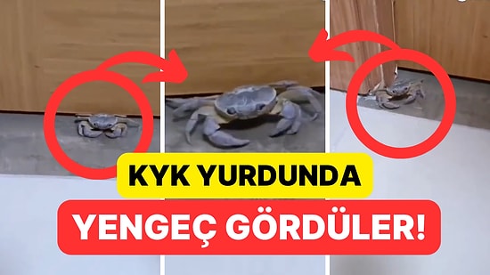 KYK Yurdunda Yengeç Gören Öğrenciler Şaşkına Döndü!