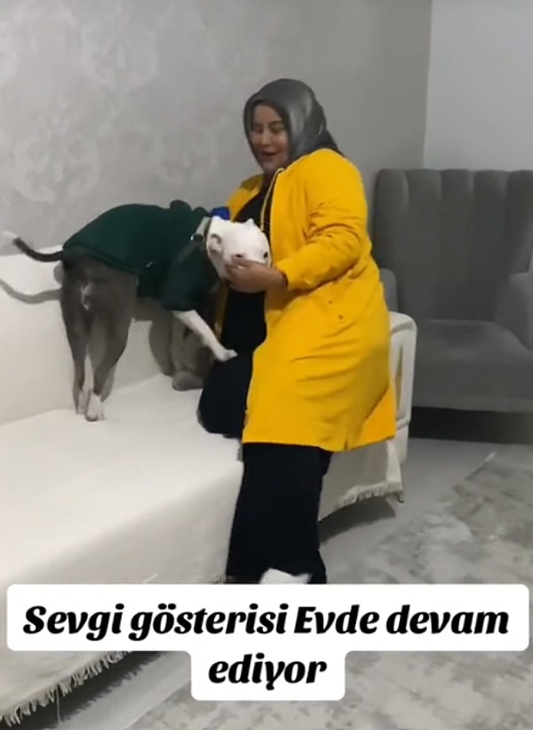 Özlemini bir türlü gideremeyen minik dostumuz evde de sarılmalara öpmelere doyamayınca ise ortaya bu tatlı video çıktı.