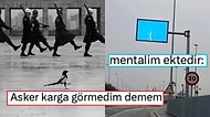 Fotoğraf Çekmek İsterken Yanlışlıkla Rönesans Tablosu Yaratan Kişilerden Muazzam Kareler