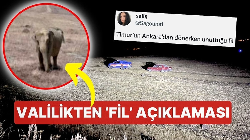 Çoban 'Fil Gördüm' Dedi, Sosyal Medya Çalkalandı! Jandarma Arazide Fil Arıyor