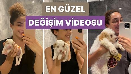 Köpeğinin Günden Güne Büyüme Yolculuğunu Kaydeden Sosyal Medya Kullanıcısının Videosu Kalbinizi Isıtacak