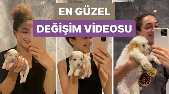 Köpeğinin Günden Güne Büyüme Yolculuğunu Kaydeden Sosyal Medya Kullanıcısının Videosu Kalbinizi Isıtacak