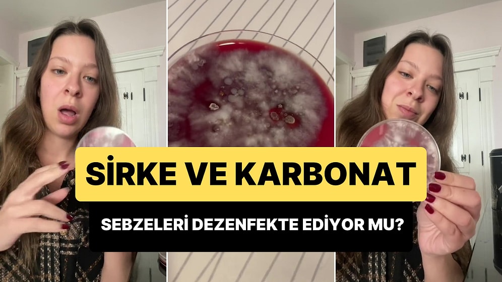 Genetik Mühendisi Dilara Sarı, Sirke ve Karbonatın Sebzelerdeki Bakterileri Öldürüp Öldürmediğini İnceledi