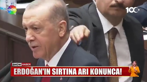 Arıyı eliyle Cumhurbaşkanı Erdoğan'ın sırtından uzaklaştıran koruma, ardından ise yere düşen arıyı ayağı ile ezdi.